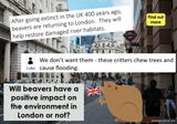 Beavers in London: Thinking Classroom version