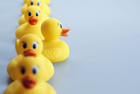 Get your ducks in a row for GCSE
