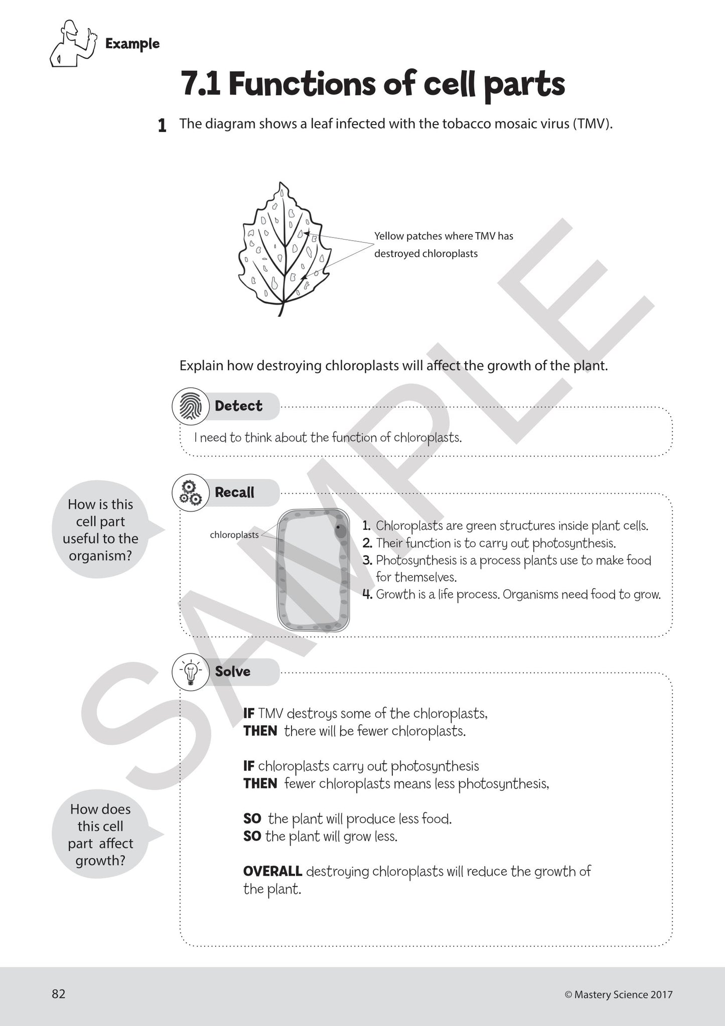 Year 7 Digital Mastery Practice Book