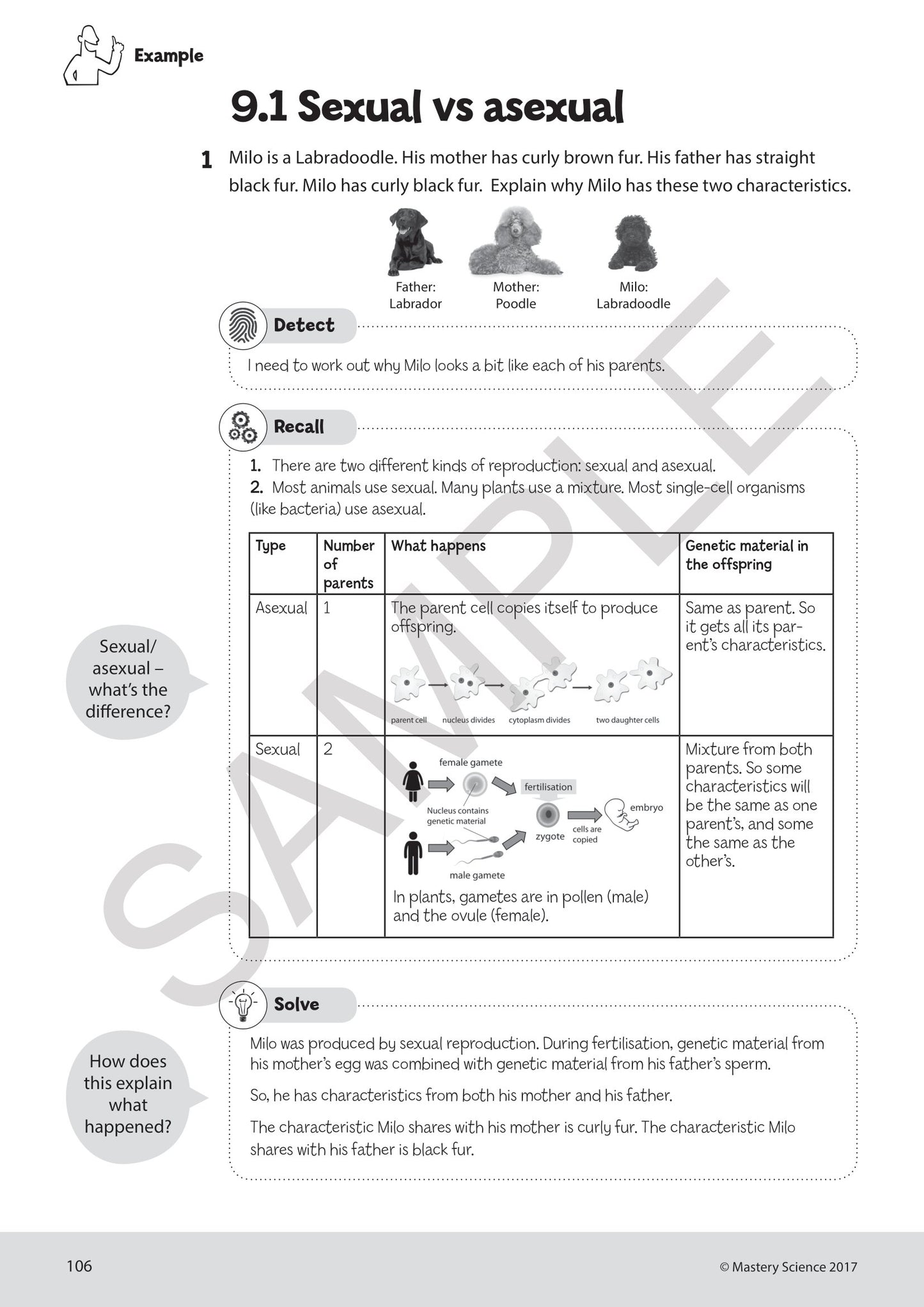 Year 7 Digital Mastery Practice Book