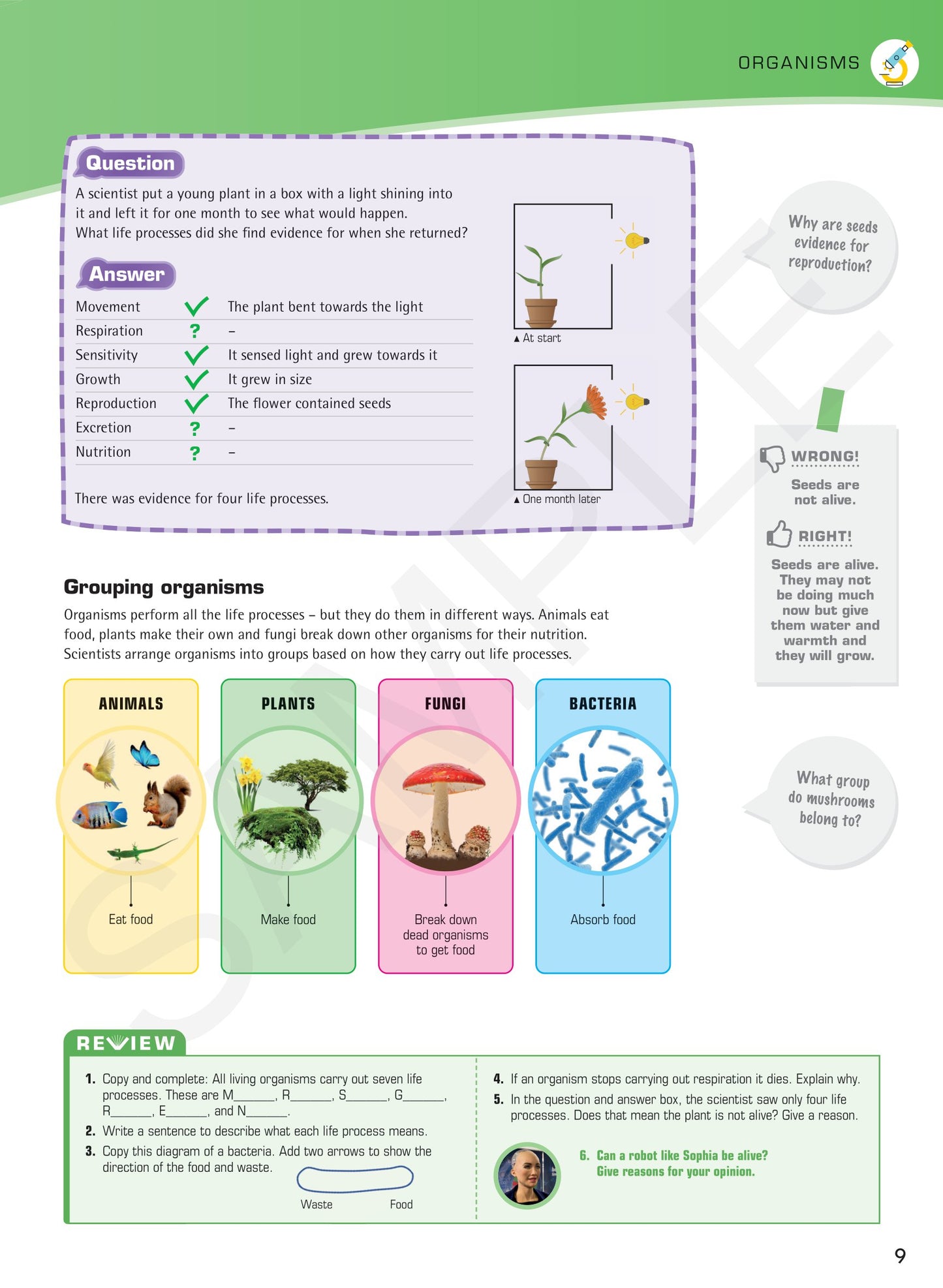 Year 7 Digital Understanding Science textbook