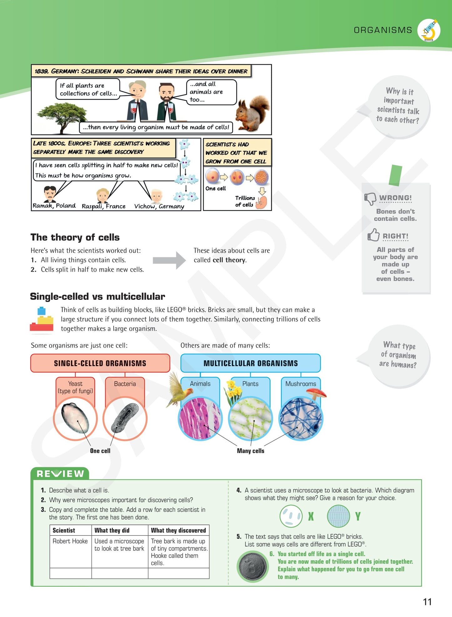 Year 7 Digital Understanding Science textbook