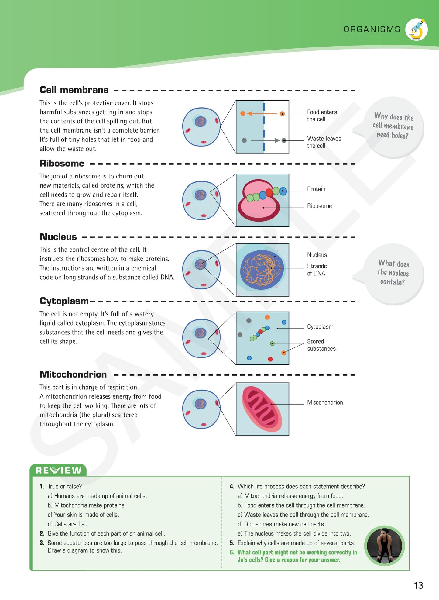 Year 7 Digital Understanding Science textbook