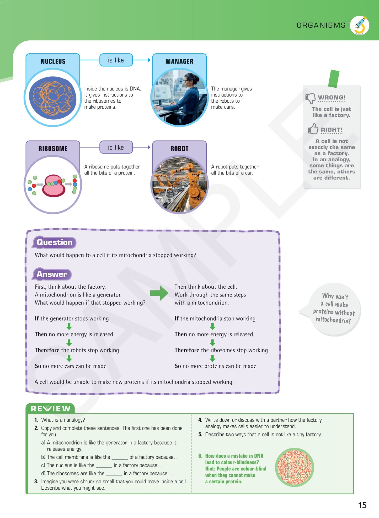 Year 7 Digital Understanding Science textbook