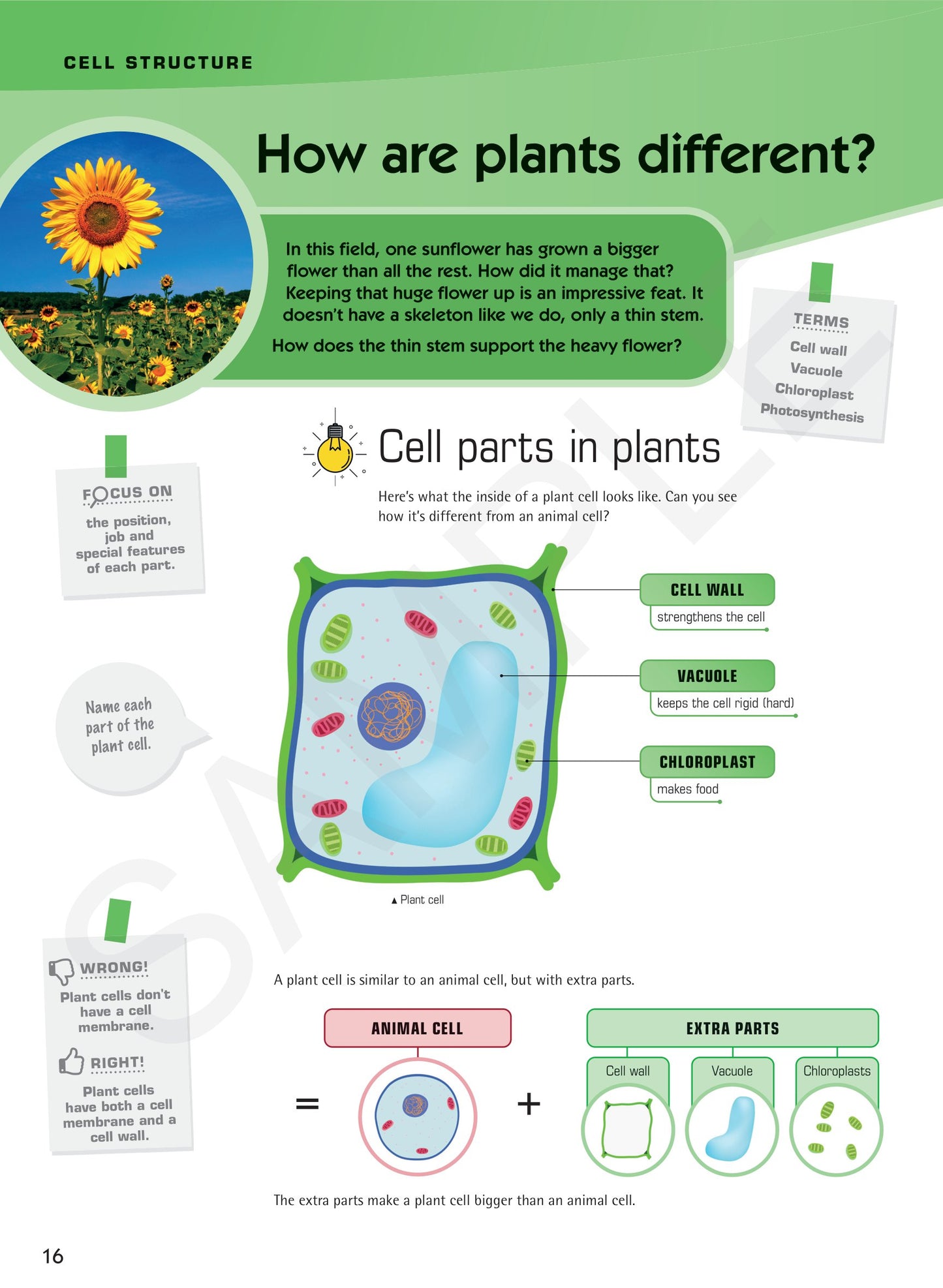 Year 7 Digital Understanding Science textbook