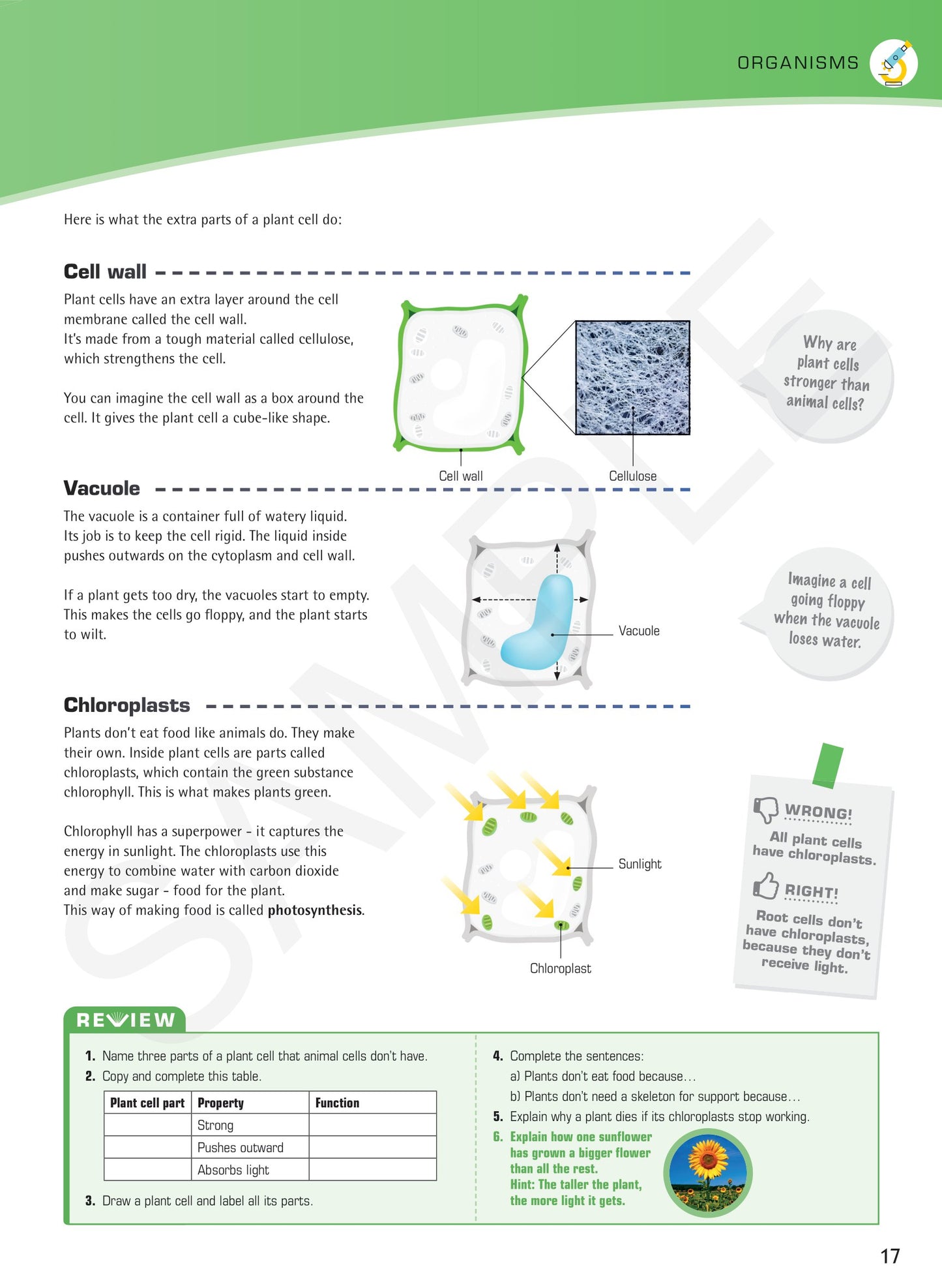 Year 7 Digital Understanding Science textbook