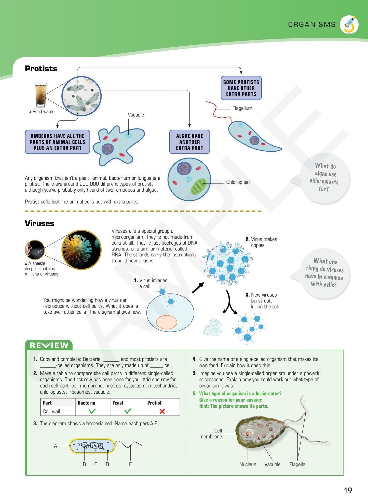 Year 7 Digital Understanding Science textbook