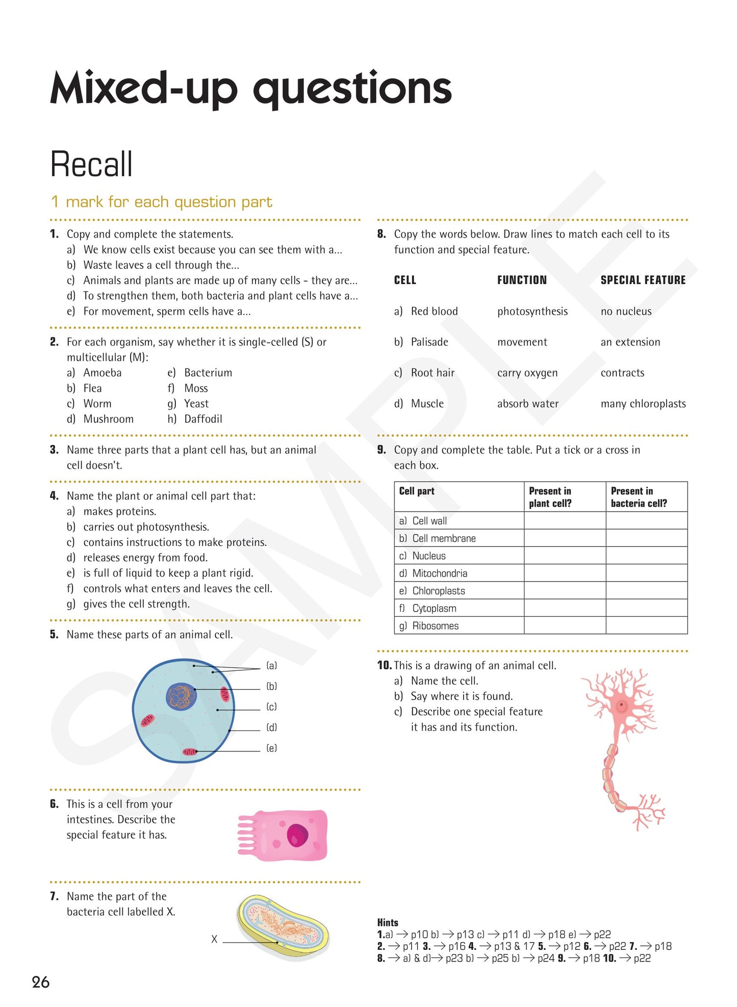 Year 7 Digital Understanding Science textbook