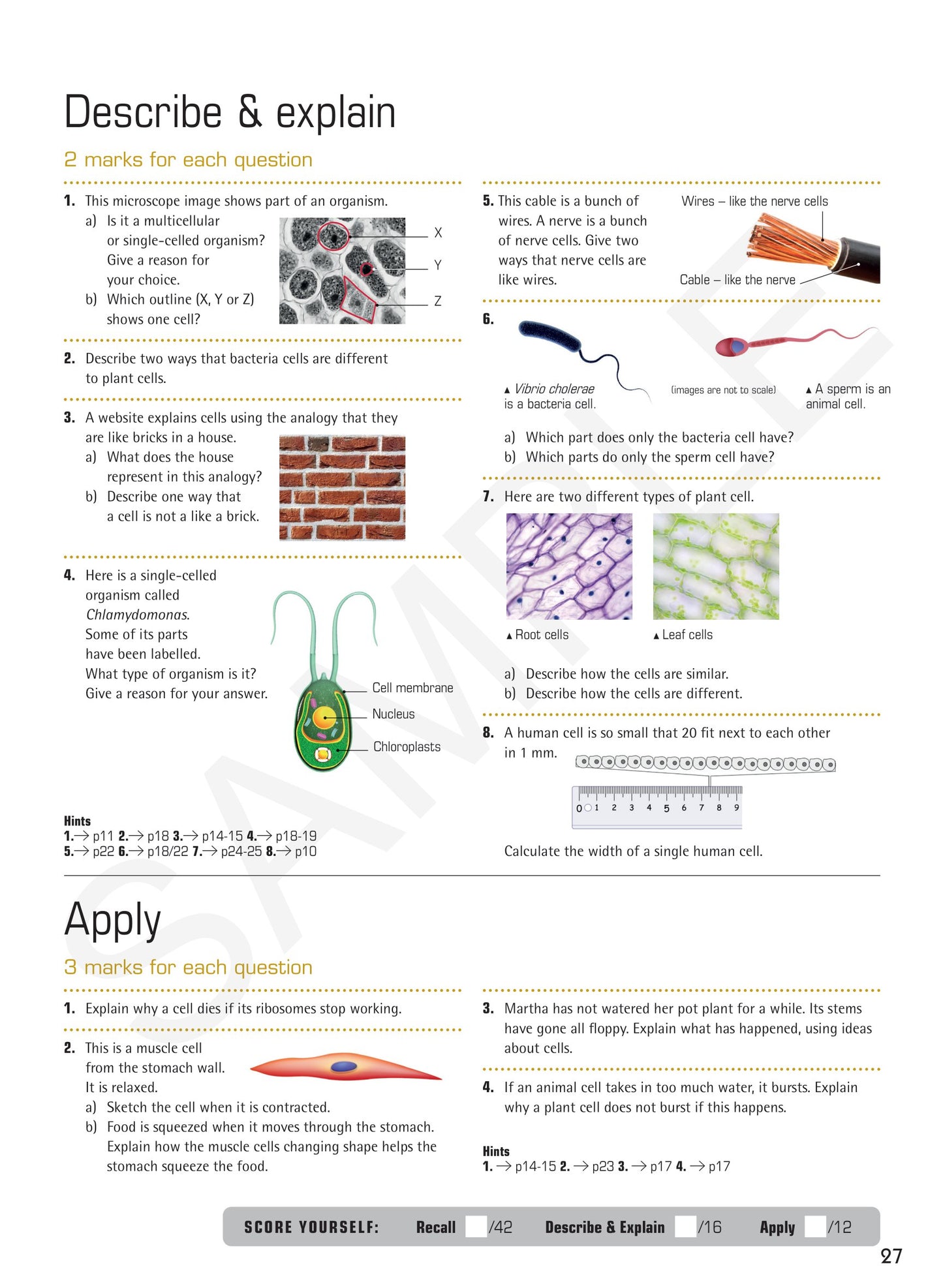 Year 7 Digital Understanding Science textbook