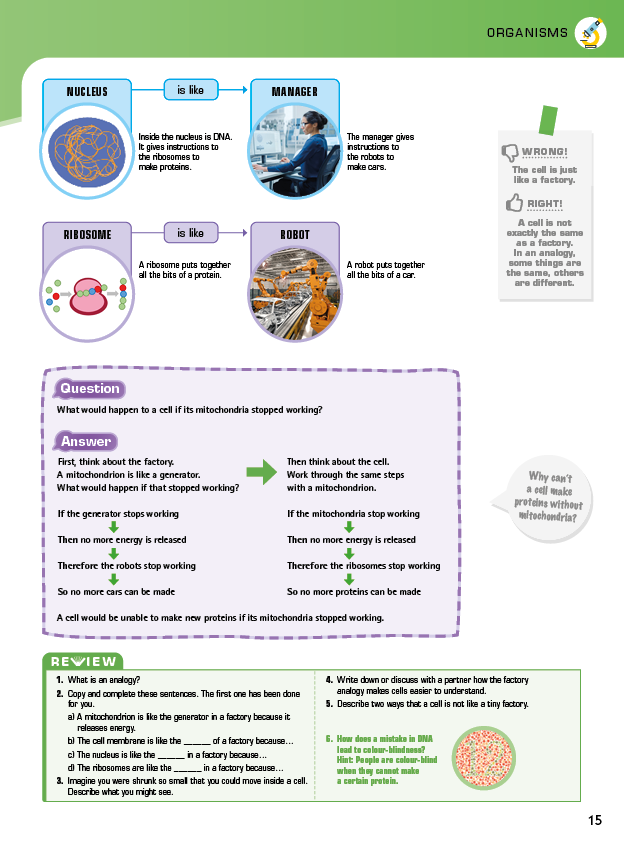 Set of Understanding Science Year 7