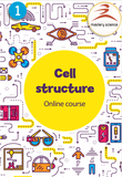 How to Apply: Cell structure (Y7)