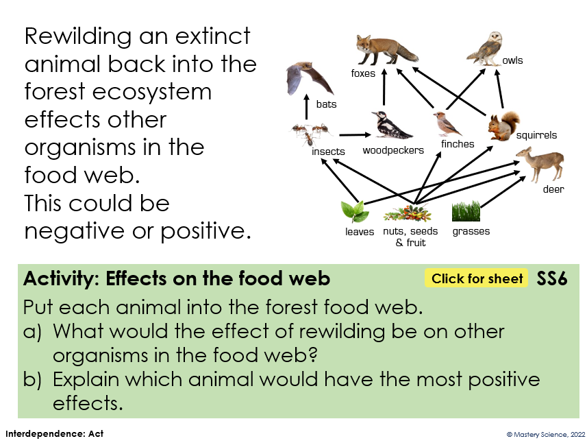 Rewilding